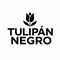 Tulipan Negro